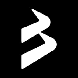 BlackBull Partners logo